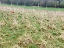 Prodej louky, Polom, 3371 m2