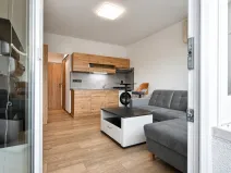 Pronájem bytu 1+kk, Chomutov, Seifertova, 23 m2