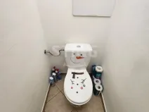 Pronájem bytu 2+1, Přerov, Palackého, 55 m2