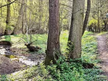 Prodej chaty, Brno - Bystrc, 24 m2