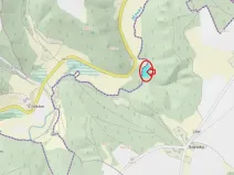 Prodej lesa, Chocnějovice, 2953 m2