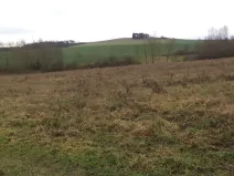 Prodej pole, Srby, 7890 m2