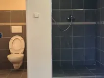 Pronájem výrobních prostor, Liběchov, 55 m2