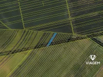 Prodej pole, Prušánky, 621 m2