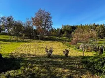 Prodej rodinného domu, Branky, 79 m2