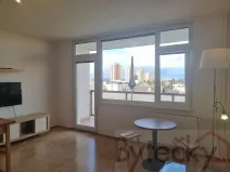Pronájem bytu 1+kk, Praha - Kamýk, Otradovická, 34 m2