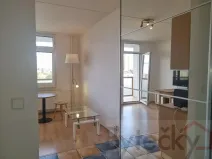 Pronájem bytu 1+kk, Praha - Kamýk, Otradovická, 34 m2