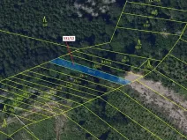 Dražba lesa, Havlíčkův Brod, 281 m2