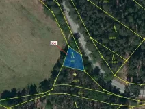 Dražba lesa, Náměšť nad Oslavou, 177 m2
