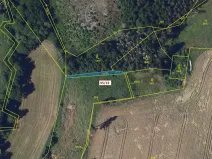 Dražba lesa, Žižkovo Pole, 121 m2