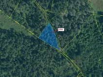 Dražba lesa, Hradiště, 1028 m2
