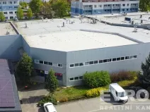 Pronájem komerční nemovitosti, Kolín - Kolín IV, K Dílnám, 600 m2