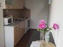 Pronájem bytu 1+kk, Hradec Králové - Nový Hradec Králové, Pod Zámečkem, 48 m2