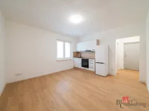 Pronájem bytu 2+kk, Ostrava - Mariánské Hory, Cottonové, 37 m2