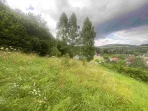 Prodej pozemku, Mladkov, 1004 m2