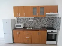 Pronájem pokoje, Olomouc, 17 m2