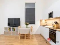 Prodej bytu 2+kk, Ostrava - Přívoz, Palackého, 48 m2
