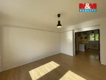 Pronájem bytu 2+1, Ústí nad Labem - Neštěmice, Železná, 48 m2