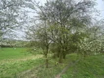 Prodej pozemku, Štětí - Brocno, 273 m2