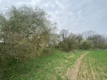 Prodej pozemku, Štětí - Brocno, 273 m2