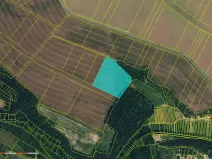 Prodej pole, Hluboké Mašůvky, 38229 m2