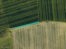 Prodej pole, Hradčovice, 1372 m2