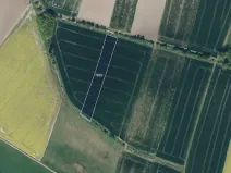 Prodej podílu pole, Uhersko, 11302 m2