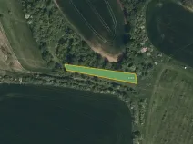 Prodej sadu/vinice, Svatobořice-Mistřín, 5062 m2