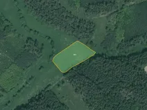 Prodej pole, Poběžovice, 64029 m2