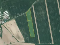 Prodej pole, Poběžovice, 28823 m2