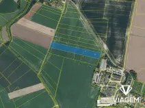 Prodej pole, Cholenice, 19500 m2