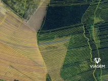 Prodej pole, Popovice, 1078 m2