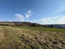 Prodej pozemku pro bydlení, Petrovice, 6579 m2