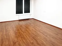 Pronájem bytu 2+kk, Praha - Dejvice, Lindleyova, 55 m2