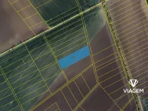 Prodej podílu pole, Třibřichy, 381 m2