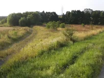 Dražba louky, Pustějov, 9886 m2