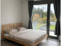 Pronájem bytu 1+kk, Praha - Vysočany, Ivana Hlinky, 35 m2