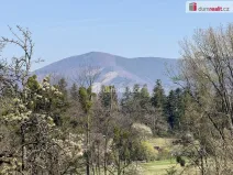 Prodej pole, Trojanovice, 2929 m2