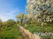 Prodej chaty, Praha - Libeň, Krejčího, 13 m2