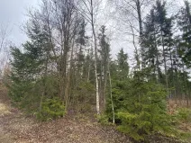 Prodej lesa, Kolinec - Buršice, 5195 m2