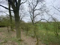 Prodej pozemku, Štětí - Brocno, 1107 m2