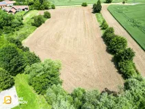 Prodej pozemku, Labuty, 553 m2