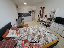 Pronájem bytu 1+kk, Olomouc, Aloise Rašína, 30 m2