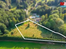 Prodej louky, Nový Bor - Janov, 5500 m2