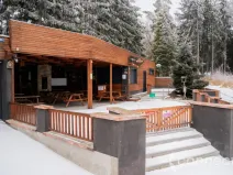 Prodej chaty, Nová Bystřice - Albeř, 259 m2