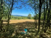 Prodej pozemku pro bydlení, Chabařovice, 1674 m2