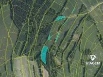 Prodej podílu lesa, Roztoky u Semil, 6000 m2