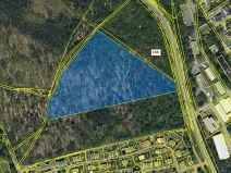 Dražba lesa, Rybitví, 37060 m2