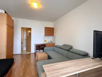Pronájem bytu 1+kk, Brno, Mikšíčkova, 22 m2