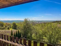 Prodej chaty, Slavkov u Brna, 16 m2